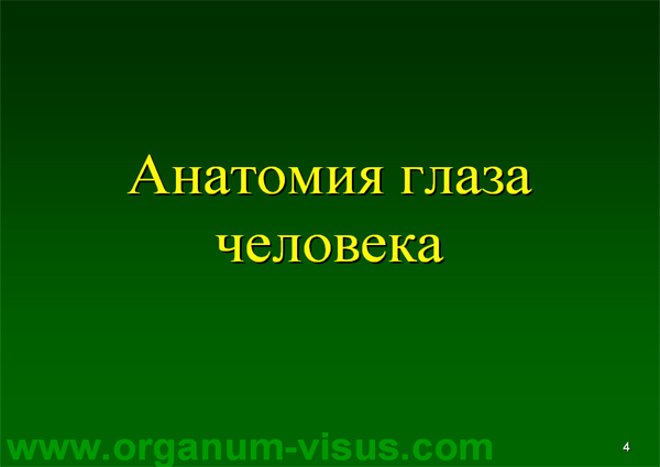 Organum-visus_Глаукома_Школа офтальмологического пациента_2008_1003_Лечение глаукомы_Глазные капли_Проcтагландины_Латанопрост_Травопрост_Ксалатан_Траватан_Тимолол_Образ жизни при глаукоме_Glaucoma