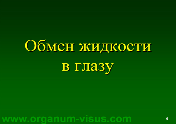 Organum-visus_Глаукома_Школа офтальмологического пациента_2008_1003_Лечение глаукомы_Глазные капли_Проcтагландины_Латанопрост_Травопрост_Ксалатан_Траватан_Тимолол_Образ жизни при глаукоме_Glaucoma