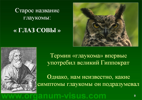 Organum-visus_Глаукома_Школа офтальмологического пациента_2008_1003_Лечение глаукомы_Глазные капли_Проcтагландины_Латанопрост_Травопрост_Ксалатан_Траватан_Тимолол_Образ жизни при глаукоме_Glaucoma