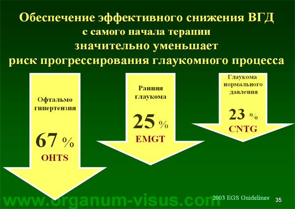 Organum-visus_Глаукома_Школа офтальмологического пациента_2008_1003_Лечение глаукомы_Глазные капли_Проcтагландины_Латанопрост_Травопрост_Ксалатан_Траватан_Тимолол_Образ жизни при глаукоме_Glaucoma
