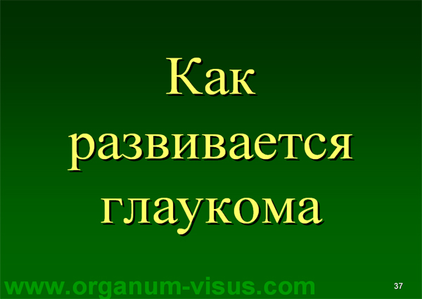 Organum-visus_Глаукома_Школа офтальмологического пациента_2008_1003_Лечение глаукомы_Глазные капли_Проcтагландины_Латанопрост_Травопрост_Ксалатан_Траватан_Тимолол_Образ жизни при глаукоме_Glaucoma
