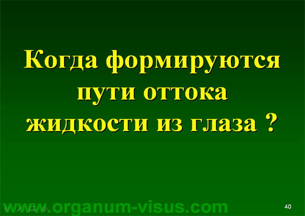 Organum-visus_Глаукома_Школа офтальмологического пациента_2008_1003_Лечение глаукомы_Глазные капли_Проcтагландины_Латанопрост_Травопрост_Ксалатан_Траватан_Тимолол_Образ жизни при глаукоме_Glaucoma
