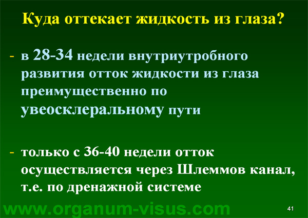 Organum-visus_Глаукома_Школа офтальмологического пациента_2008_1003_Лечение глаукомы_Глазные капли_Проcтагландины_Латанопрост_Травопрост_Ксалатан_Траватан_Тимолол_Образ жизни при глаукоме_Glaucoma