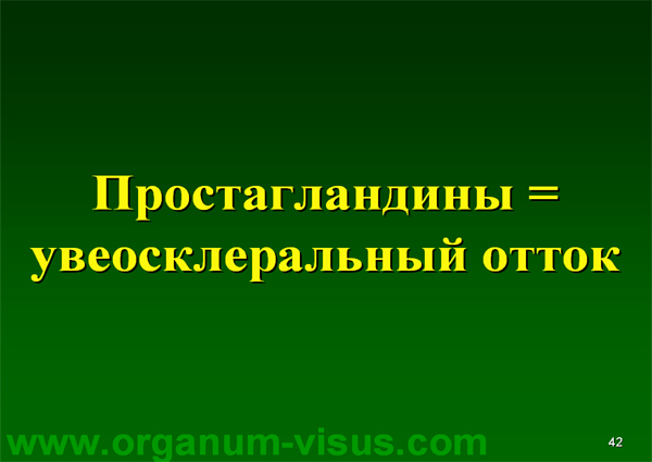 Organum-visus_Глаукома_Школа офтальмологического пациента_2008_1003_Лечение глаукомы_Глазные капли_Проcтагландины_Латанопрост_Травопрост_Ксалатан_Траватан_Тимолол_Образ жизни при глаукоме_Glaucoma