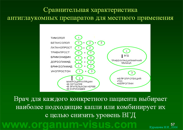 Organum-visus_Глаукома_Школа офтальмологического пациента_2008_1003_Лечение глаукомы_Глазные капли_Проcтагландины_Латанопрост_Травопрост_Ксалатан_Траватан_Тимолол_Образ жизни при глаукоме_Glaucoma