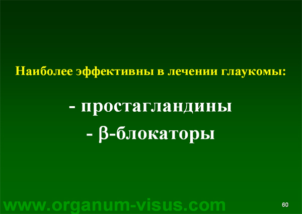 Organum-visus_Глаукома_Школа офтальмологического пациента_2008_1003_Лечение глаукомы_Глазные капли_Проcтагландины_Латанопрост_Травопрост_Ксалатан_Траватан_Тимолол_Образ жизни при глаукоме_Glaucoma