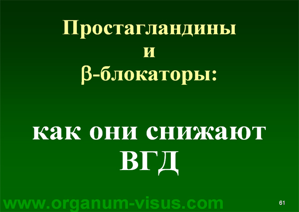 Organum-visus_Глаукома_Школа офтальмологического пациента_2008_1003_Лечение глаукомы_Глазные капли_Проcтагландины_Латанопрост_Травопрост_Ксалатан_Траватан_Тимолол_Образ жизни при глаукоме_Glaucoma