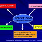 Катаргина Л.А., Мазанова Е.В., Тарасенков А.О. Врожденная глаукома: клинические проявления, этиология, классификация, современные методы диагностики, дифференциальный диагноз ”большого глаза’. Школа детского офтальмолога, 15.09.2016, Москва. Информационный партнер портал Орган зрения organum-visus.ru (рис.83)