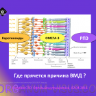 Nutrition Eye. Первая российская рабочая встреча, 02 апреля 2016г. Совместный образовательный проект портала Орган зрения organum-visus.com и компании Thea.