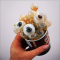 Глазной "коктейль", eye cocktail. Strange Eyes. Источник: 2.bp.blogspot