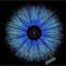 Prince's Eye. Strange Eyes. Источник: bnl
