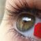 Love glance!