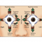 Ophthalmic Conference. Страбизмология 21- века - поиск консенсуса! Новосибирск, Россия, 20 ноября 2015г.  Информационный патнер www.oganum-visus.com